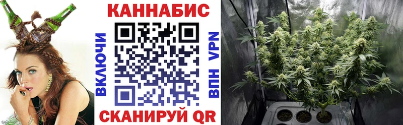 Бошки марихуана гибрид  Лениногорск 